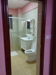 a bathroom with a toilet and a sink and a shower at Beauty Homes Kilimani in Nairobi