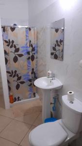 een badkamer met een toilet, een wastafel en een douche bij Stay at Kety's in Praia