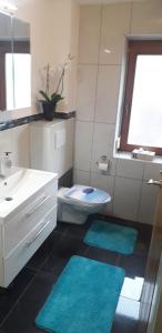 ein Badezimmer mit einem Waschbecken, einem WC und zwei blauen Matten in der Unterkunft Panorama in Wiesing