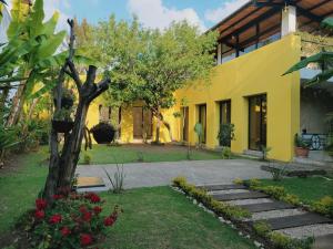 a yellow house with a tree in the yard at Jardines de Luz in San Cristóbal de Las Casas