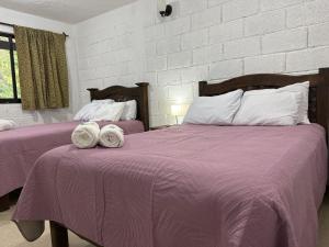 una camera con 2 letti con coperte e cuscini viola di LA VILLA DE LA ABUELA a San Cristóbal de Las Casas