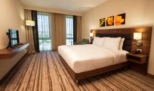 Cette chambre comprend un grand lit et une télévision. dans l'établissement Hilton Garden Inn Erzincan, à Erzincan