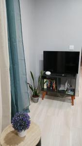 TV a/nebo společenská místnost v ubytování Faria's House