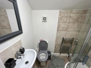 uma casa de banho com um WC, um lavatório e um chuveiro em 4 Bedroom Terrace house em Wellingborough