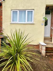 a plant in front of a house with a door at 4 Bedroom Terrace house in Wellingborough