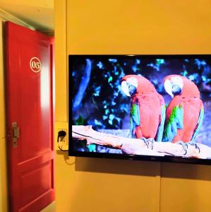 dos loros coloridos sentados encima de una pantalla de televisión en Hotel Windsor Mendoza en Mendoza