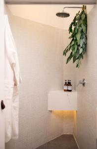 baño con lavabo y planta en la pared en Fausto, en Lima