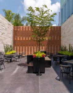 a courtyard with tables and chairs and a tree at Hampton by Hilton Aguascalientes Downtown in Aguascalientes