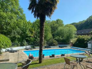 a palm tree next to a swimming pool at Fernhill Hotel in Lyme Regis