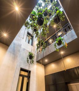 a building with potted plants hanging from the ceiling at Umbral, Curio Collection By Hilton in Mexico City