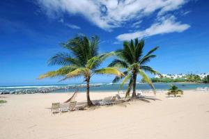 2 palmiers et des chaises sur une plage dans l'établissement Embassy Suites by Hilton Dorado del Mar Beach Resort, à Dorado