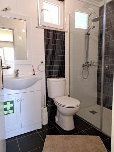 een badkamer met een toilet, een wastafel en een douche bij Casa do Souto - Douro e Marão 