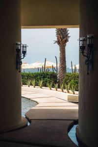 a hallway with a palm tree and a walkway at Waldorf Astoria Los Cabos Pedregal in Cabo San Lucas