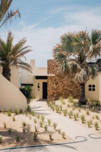 a house with palm trees in front of it at Waldorf Astoria Los Cabos Pedregal in Cabo San Lucas
