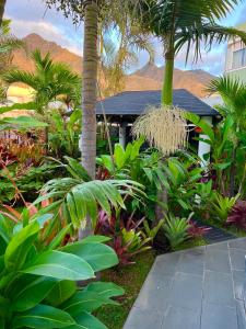 a garden with palm trees and plants in front of a house at La SELVITA in Bajamar