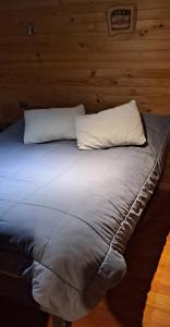 een bed met twee kussens erop bij GLAMPING CABAÑA HOLMBERG in Coihaique