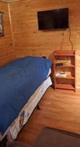 een slaapkamer met een bed en een flatscreen-tv bij GLAMPING CABAÑA HOLMBERG in Coihaique
