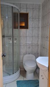 een badkamer met toilet, douche en wastafel bij GLAMPING CABAÑA HOLMBERG in Coihaique