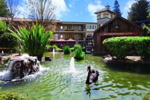 un cisne negro en un estanque frente a un edificio en Embassy Suites by Hilton Napa Valley en Napa