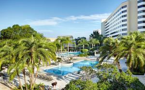 - une vue sur une piscine bordée de palmiers et un bâtiment dans l'établissement Hilton Orlando Lake Buena Vista - Disney Springs™ Area, à Orlando