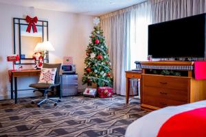 TV a/nebo společenská místnost v ubytování DoubleTree by Hilton Durango