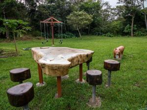 un perro parado en la hierba junto a un parque infantil en Forest Garden House, en Monteverde