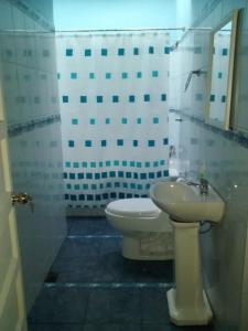 La salle de bains est pourvue de toilettes et d'un lavabo. dans l'établissement Hostal Valle Central San Fernando, Chile, à San Fernando