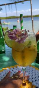 a drink with a flower on top of a table at Rancho Dias in Atins