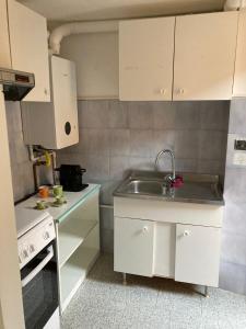una piccola cucina con lavandino e piano cottura di james house blu a Teramo