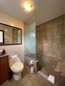 a bathroom with a toilet and a shower at Brand new Holiday Villa - 3 bedroom 4 bathroom in Baños