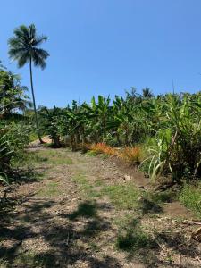 Um jardim no exterior de Green Queendom Farm and Lodging