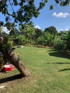 Um jardim no exterior de Green Queendom Farm and Lodging