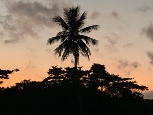 O nascer ou o pôr do sol visto a partir do hostel