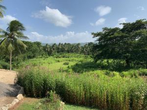 Paisagem natural perto do hostel