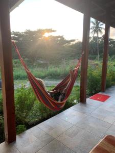 eine Person, die in einer Hängematte auf einer Veranda schläft in der Unterkunft Green Queendom Farm and Lodging in Oracabessa