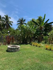 un jardín con un asiento de piedra en el césped en Green Queendom Farm and Lodging en Oracabessa