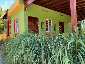 Um jardim no exterior de Green Queendom Farm and Lodging