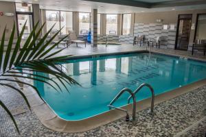 uma piscina com uma palmeira num quarto de hotel em Courtyard by Marriott Norwich em Norwich