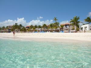 a person standing on a beach near the water at Humble, Right On The Beach in Akumal