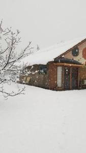 una casa cubierta de nieve con un árbol en Casa cerca del lago en Lago Puelo