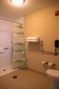 a bathroom with a shower curtain and a toilet at SpringHill Suites Pigeon Forge in Pigeon Forge