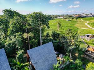 una vista aerea di una casa e di una risaia di Villa Keliki a Munggu