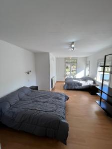 a bedroom with two beds and a mirror at Casa en bonito barrio residencial - Ciudad in El Challao
