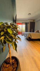 a potted plant in a room with a bedroom at Park View Studio in San Miguel de Tucumán