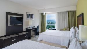 Postel nebo postele na pokoji v ubytování Holiday Inn Express Xalapa by IHG