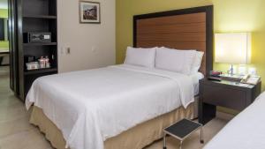 Postel nebo postele na pokoji v ubytování Holiday Inn Express Xalapa by IHG