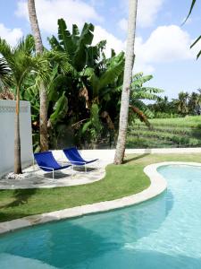 two chairs and palm trees next to a swimming pool at La Playa, Bali in Munggu