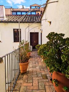 a stone walkway leading to a house with potted plants at Smart Lodging Prime in Rome