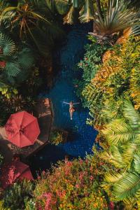 an overhead view of a person in a pool with an umbrella at Sheraton Grande Sukhumvit, a Luxury Collection Hotel, Bangkok in Bangkok