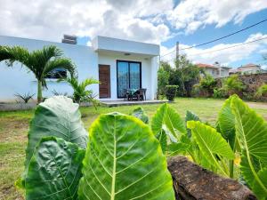 Zahrada ubytování La Maison d'Isa
